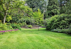 Optimiser l'expérience du jardin à Buxieres-les-Villiers